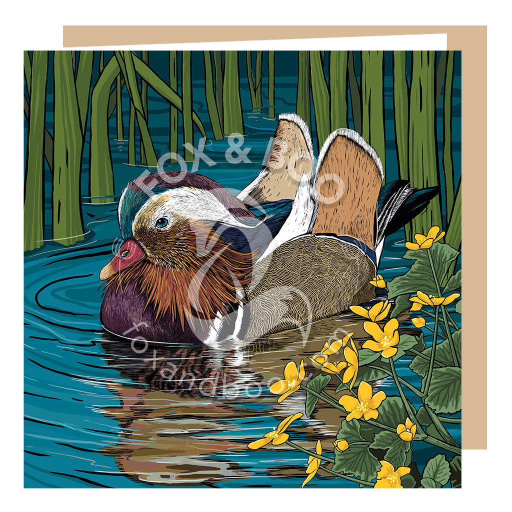 Cerdyn Mandarin a Marigolds