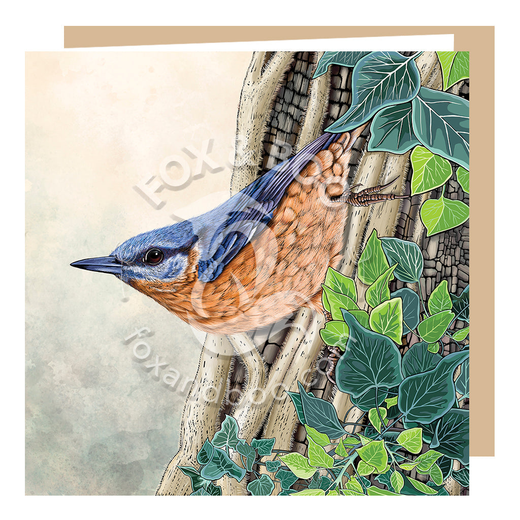 Nuthatch & Ivy Greeting Card