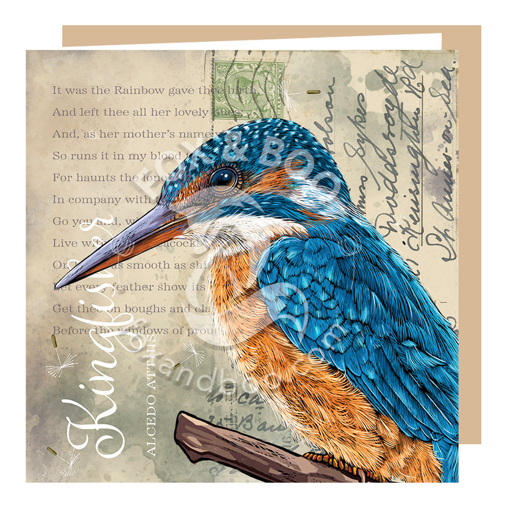 ‘Victoria’s Attic’ Kingfisher Card