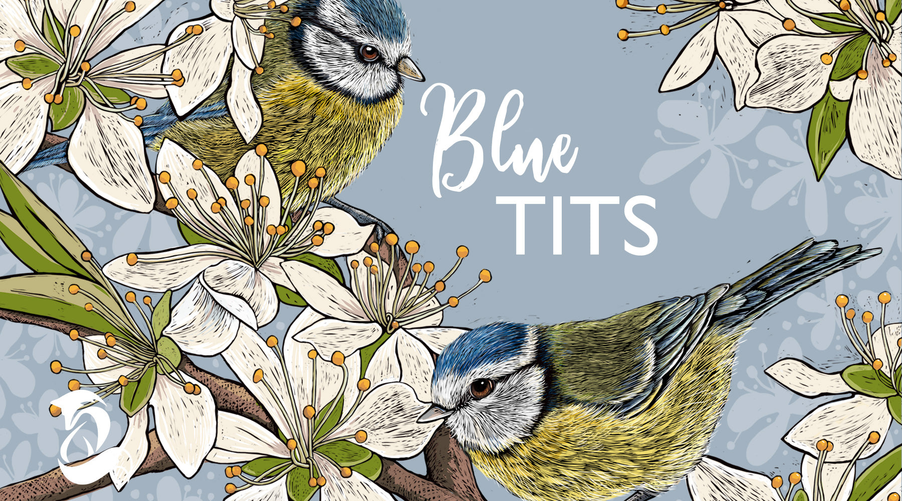 Fox and Boo; Designer Homeware and Greetings; Slider image of Blue Tits design with overlay text 'Blue Tits'
