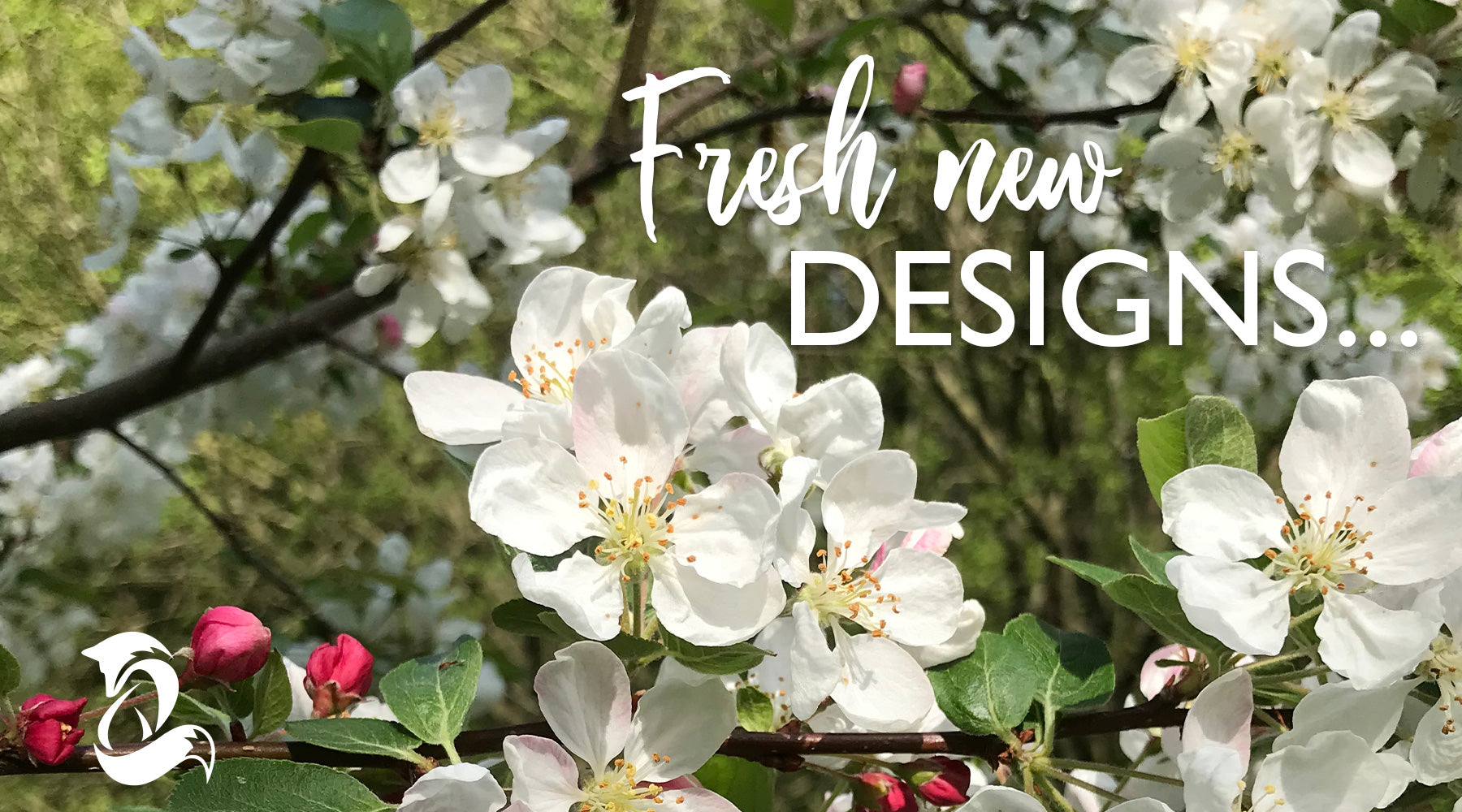 Fox and Boo; Designer Homeware and Greetings; Slider image of beautiful hawthorn blossom with overlay text 'Fresh New Designs'