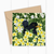 Greeting card by Fox and Boo, featuring lovely Blackbird sitting amongst primroses and wood sorrel.