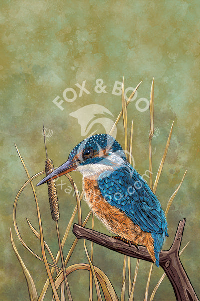Image of kingfisher tea towel designed by  Fox and Boo