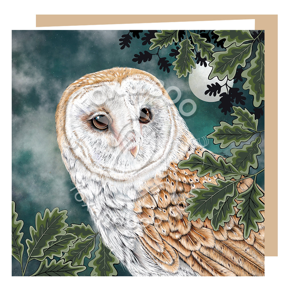 Barn Owl Blank Greeting Card