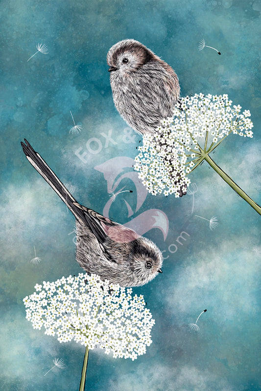 Tywel Te Titw Cynffon Hir - Cyfnos