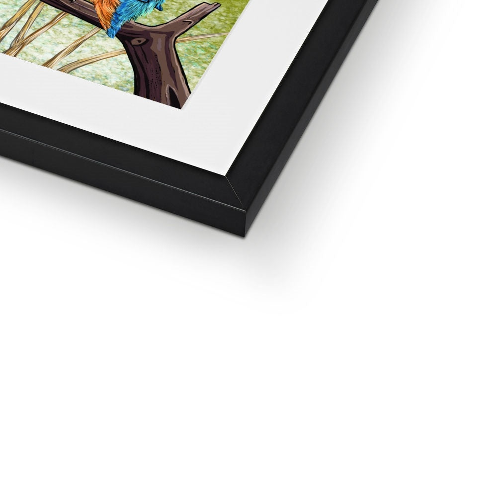Kingfisher Blues Framed &amp; Mounted Print