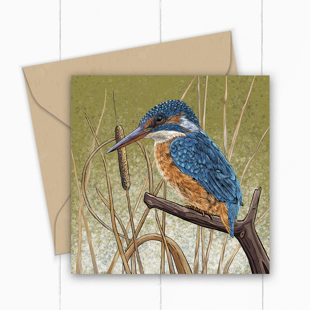 Kingfisher Greeting Card by Fox and Boo