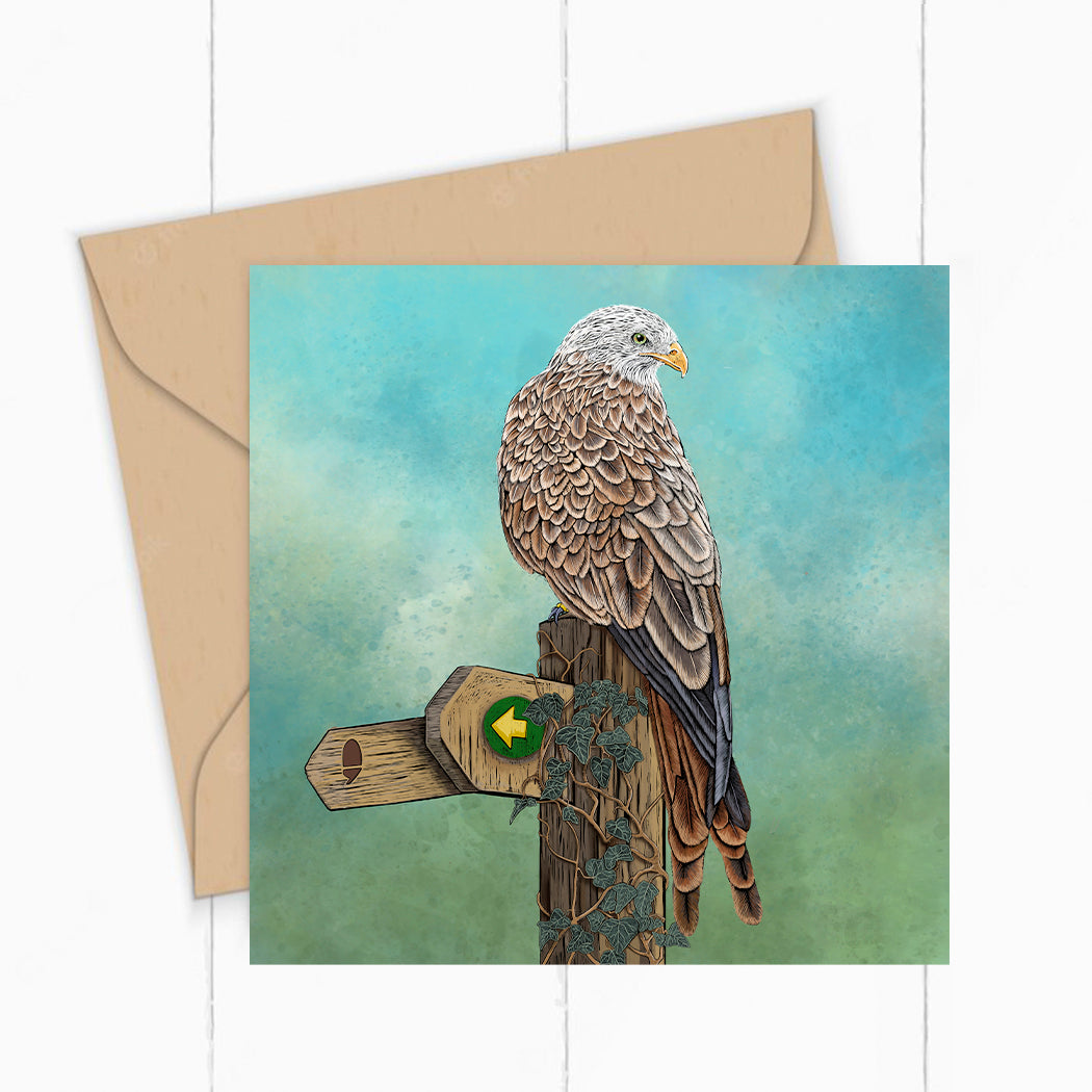 Red Kite greeting card by Fox and Boo