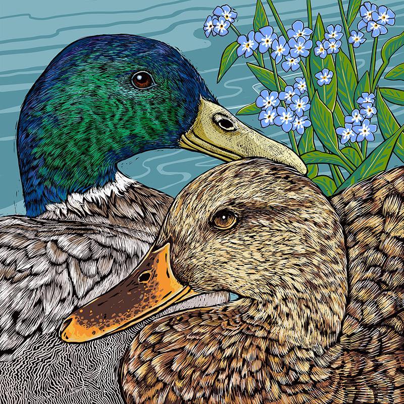 Mallard Duck Greeting Card designed by Fox and Boo
