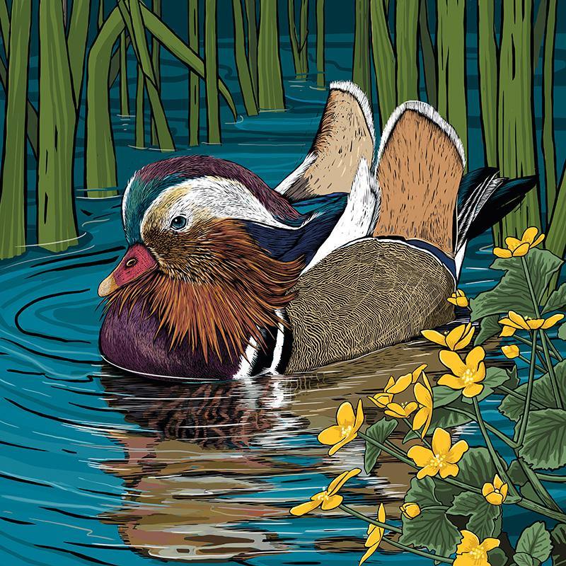 Mandarin Duck Greeting Card - Fox &amp; Boo