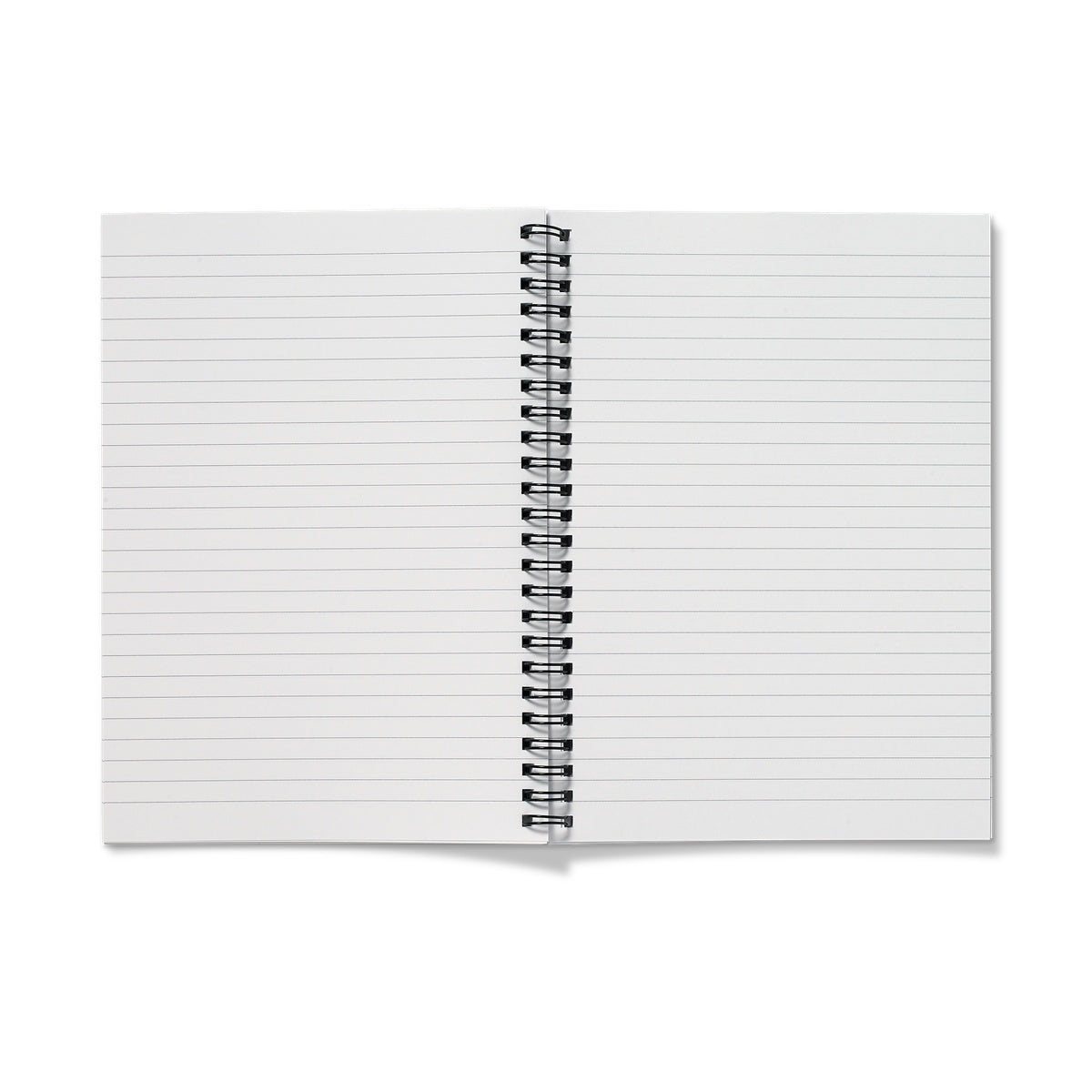 Long Tailed Tits - Aqua (rectangle) Notebook