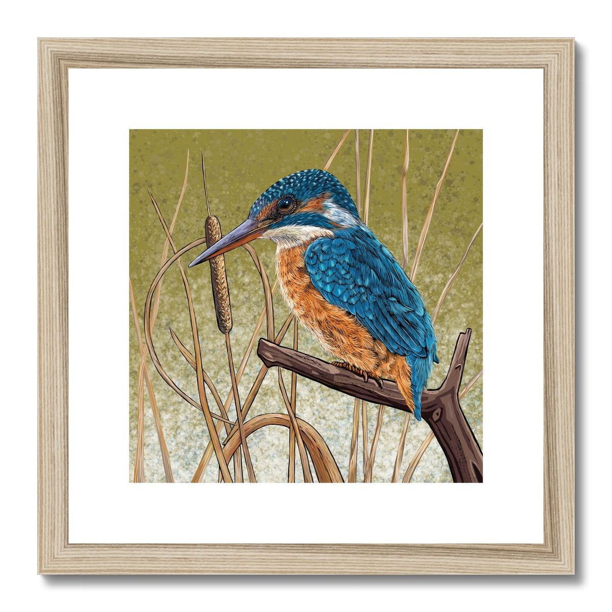 Kingfisher Blues Framed &amp; Mounted Print